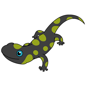 la Salamandre icone - laSalamandre