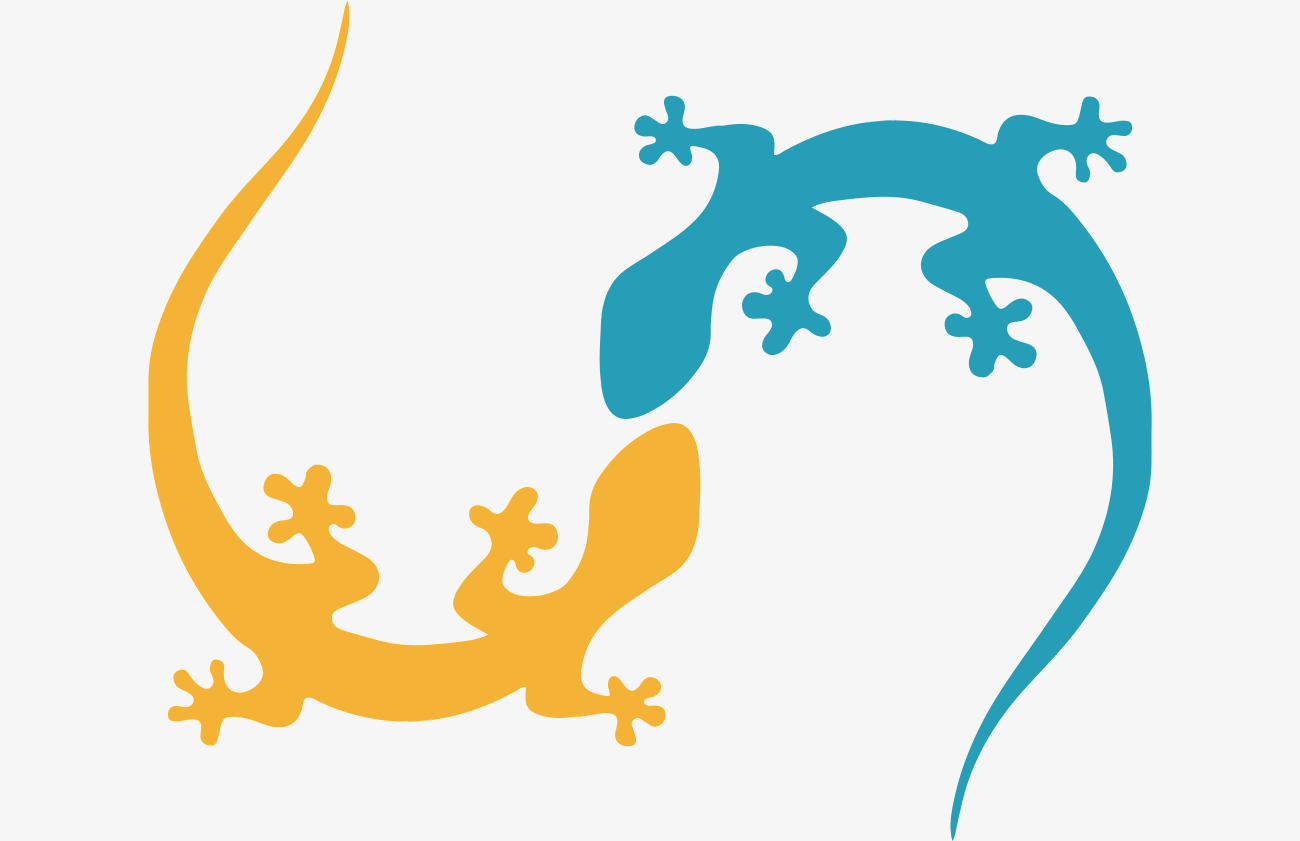 salamandre bleue et salamandre orange