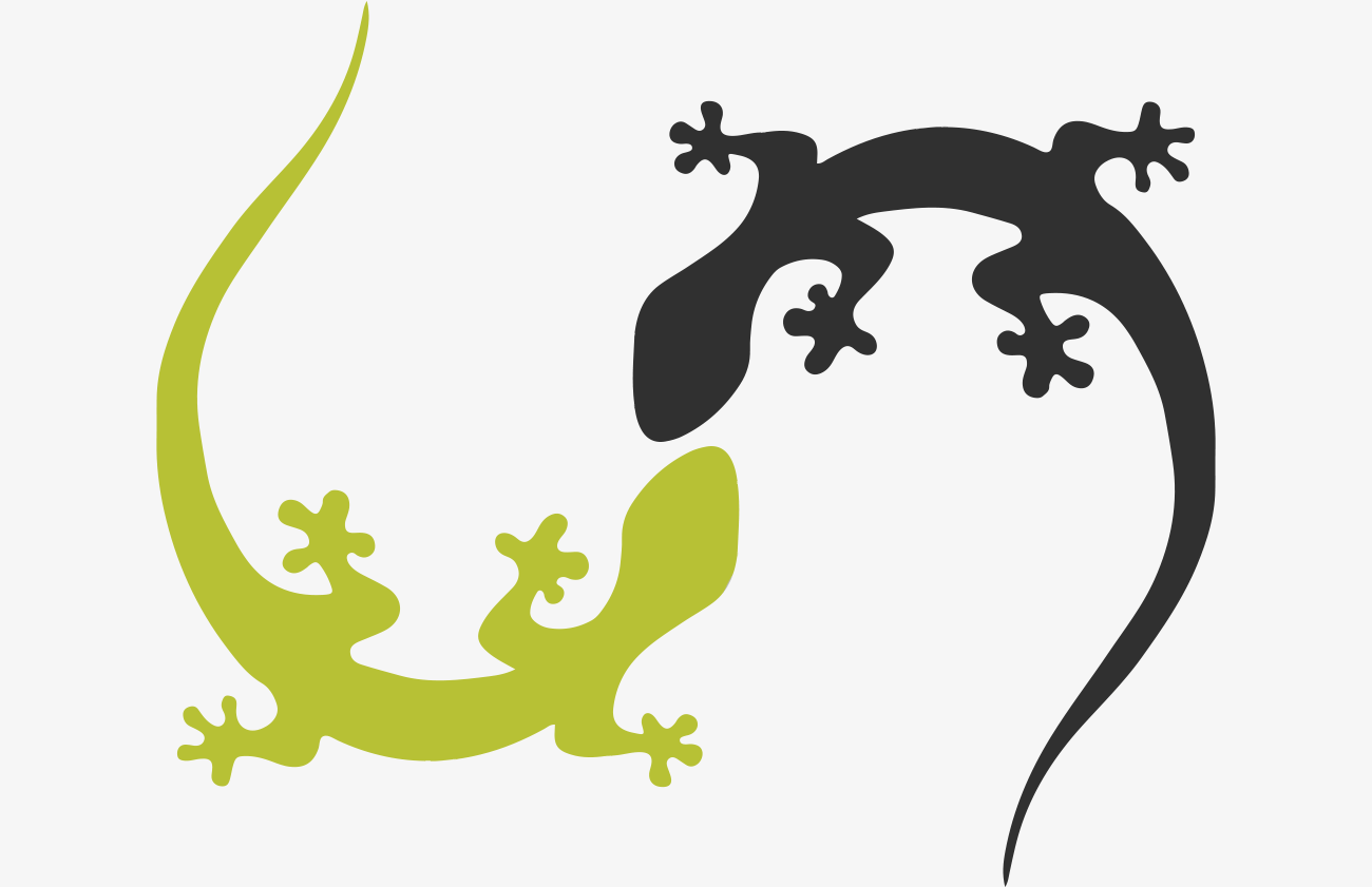 salamandre verte et salamandre noire