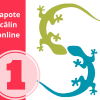Papote câlin - 1 x groupe de parole