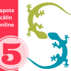 Papote câlin - 5 x groupe de parole
