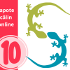 Papote câlin - 10 x groupe de parole