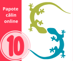 Papote câlin - 10 x groupe de parole